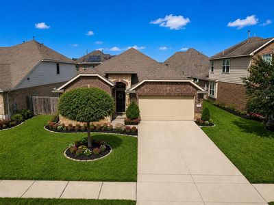 13806 Kodiak Brown Bear St