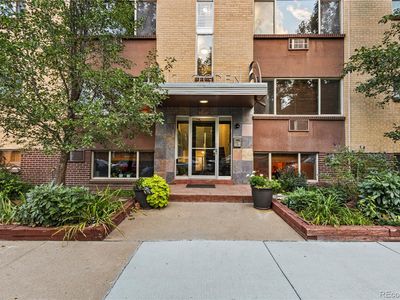10 N Ogden Street #302