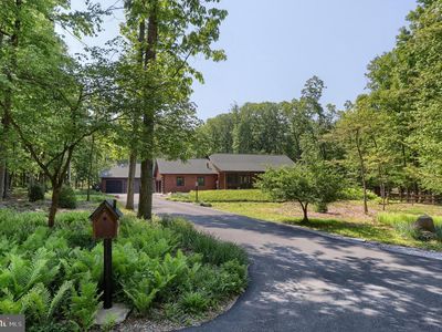 1005 Tulip Tree Dr