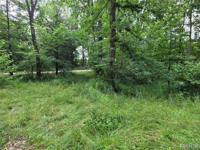 951 County Road 514