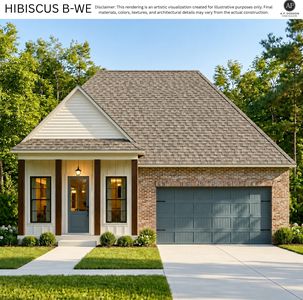 Hibiscus B-MS Plan, Village at Magnolia Square