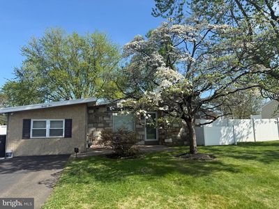 25 Maple Ave