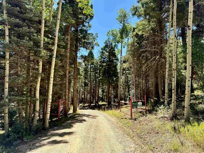 131 Forest Road 76