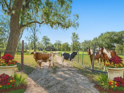 3476 E County Road 2326