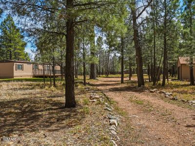Property at 826 Jacks Canyon Dr, Happy Jack, AZ