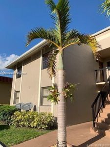 9800 Hammocks Blvd #20312