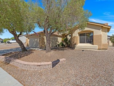 8328 N Pink Pearl Way