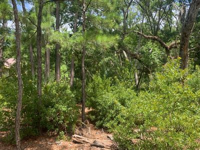 Property at 31 Foredeck Ln, Edisto Island, SC
