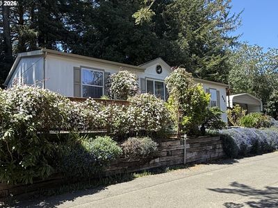 665 Village Pines Dr