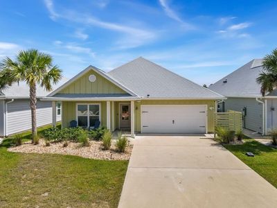 175 Pond Cypress Cv