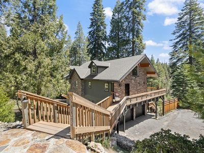 39928 Yellow Lupin Lane