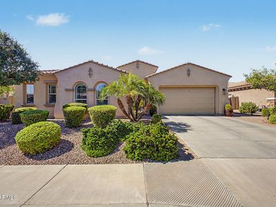 3916 E BEECHNUT Place