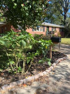 Property at 329 Mayo St, Philadelphia, MS