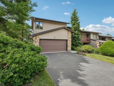 19 Cedarwood