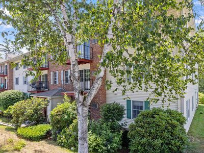 130 Endicott N Street #505