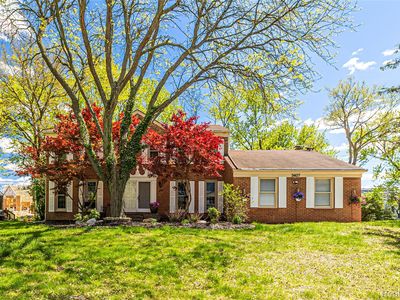 3407 Buckingham Trl