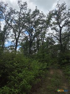 5345 Highway 36