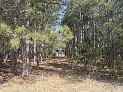 N10038 Pinecone COURT