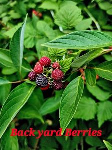 400 Old Indian Trail