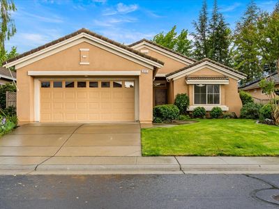 955 Dogwood Loop