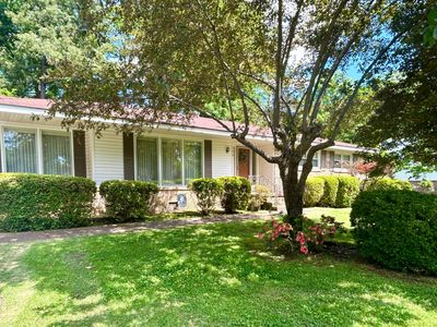 Property at 138 Patsy Dr, Florence, AL