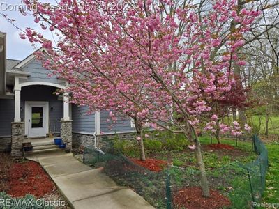 3699 Old Plank Rd