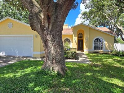 348 VINEYARD DRIVE