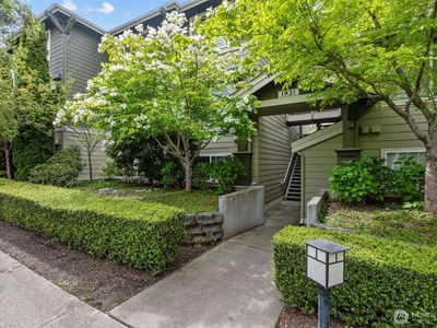 Property at 1931 23rd Place NE #202, Issaquah, WA