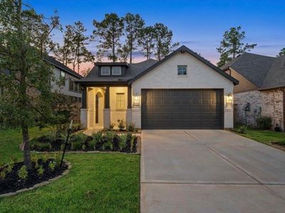 707 Lacebark Elm Trl
