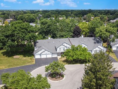16 W Fern Ct Unit 204