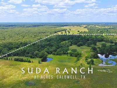 5380 County Road 132 #81.02