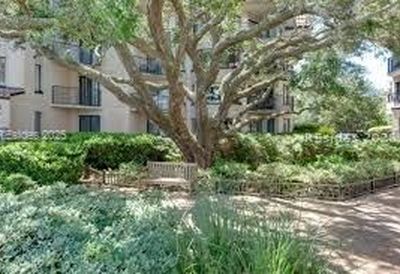 7 Shelter Cove Ln #7511