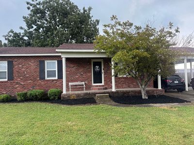 215 Andrea Dr