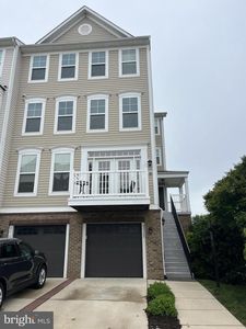 42167 Canary Grass Sq