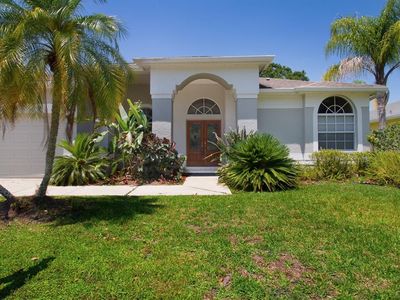 2456 Appaloosa Trl