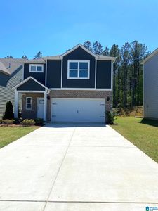 252 Chelsea Park Cir