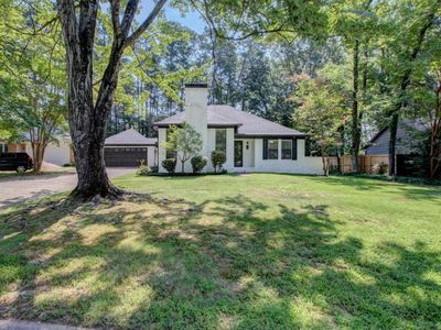 43 Yazoo Cir