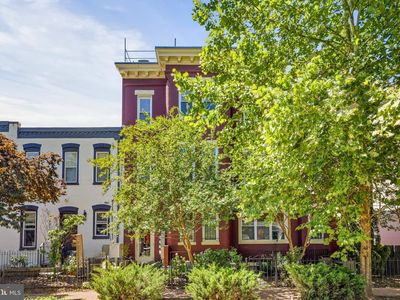 304 Q St NW #4