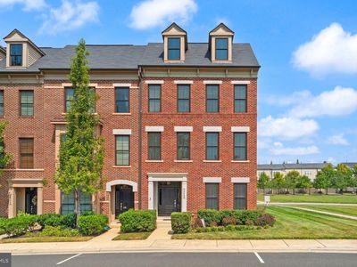 42248 Palladian Blue Ter