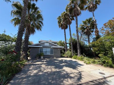 Bainbridge Drive