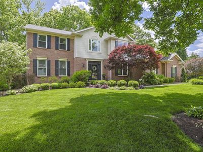8313 Ironside Ct