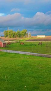 Property at 3490 227th St, Williams, IA
