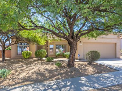 1111 S Paperflower Ave