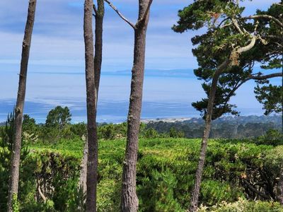 53 Ocean Pines Ln UNIT 53