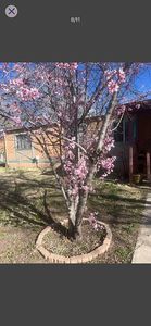 15 Honeyfield Ln
