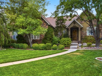 4992 Quercus Cv