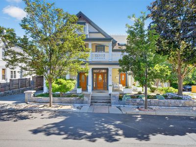 43 Ackerman Street