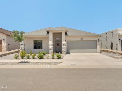 51049 Purple Mat Ave