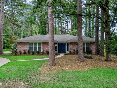 503 Pine Cone Dr
