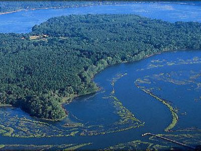 Property at 174 Polowana Rd, Saint Helena Island, SC